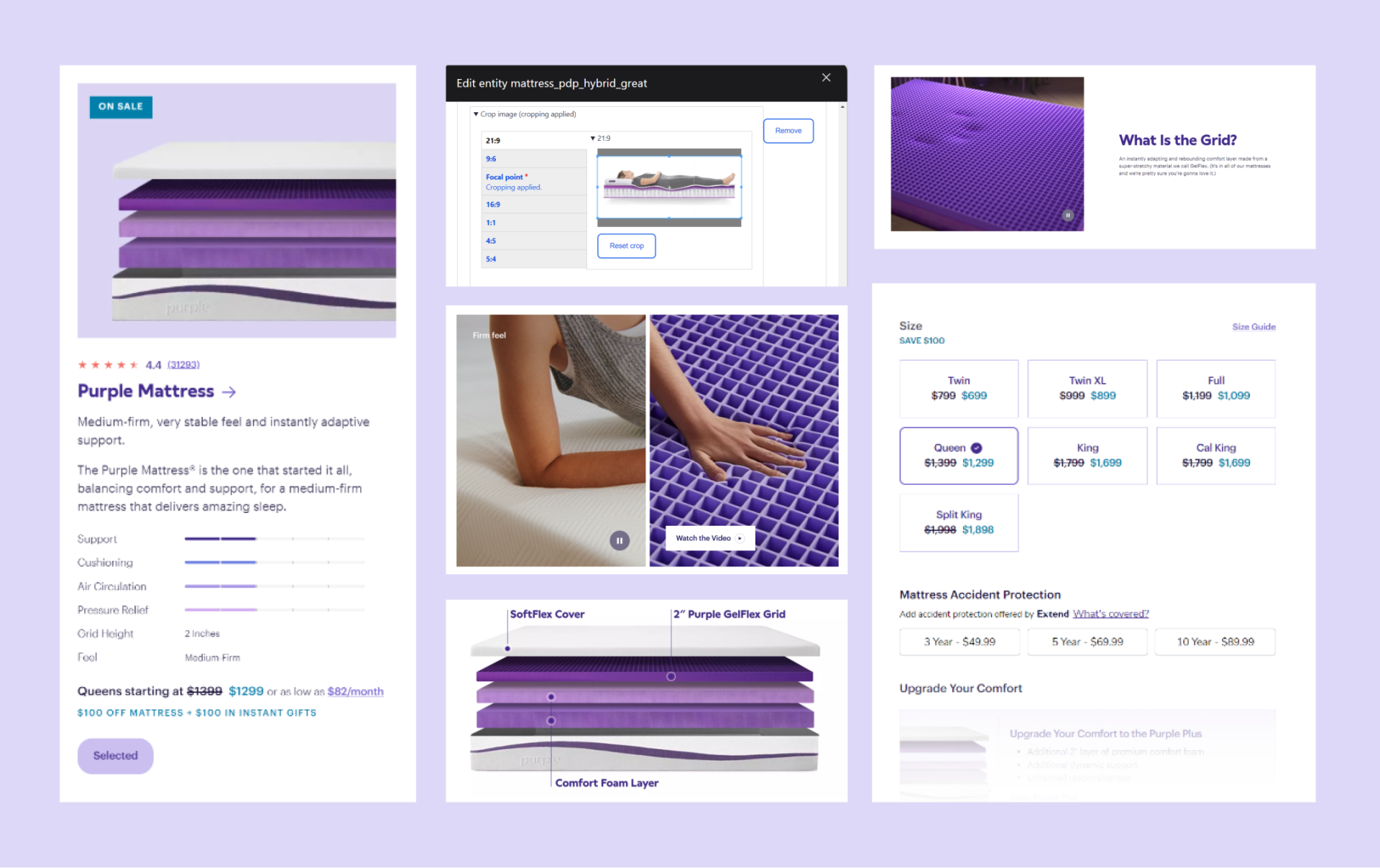 purple web assets